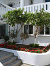 Ammos Hotel 